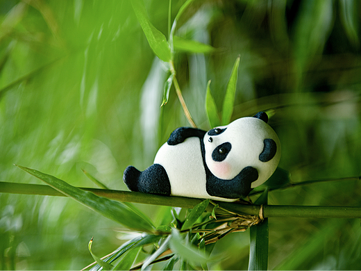  Panda Roll熊猫滚滚
