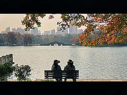 手機攝影-秋日陽光