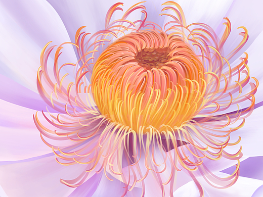画了花花
