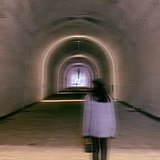 一袋子板栗的头像