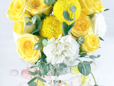 花.摄（二）