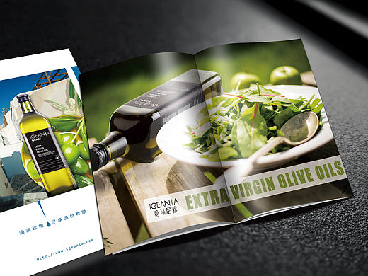 一本希腊欧美风格的产品文化宣传画册样稿设计