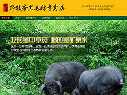 2013年的一些淘宝首页 页面设计