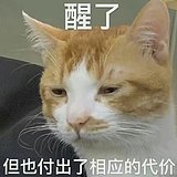 Fujisaki的头像