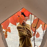 木木凡子的头像