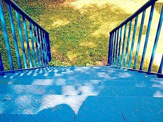 漫步在金秋的阳光下