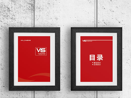 VIS系统