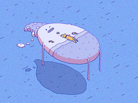 旅行柴犬第一弹