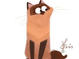 萌猫猫