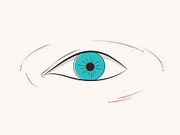 动画