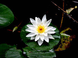 學(xué)習(xí)中…（個(gè)人主頁(yè)-ZMzc4NDQ0） - 風(fēng)光攝影 - 站酷設(shè)計(jì)師zhaomm原創(chuàng)素材 - 站酷ZCOOL