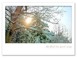 2012年的第一场雪