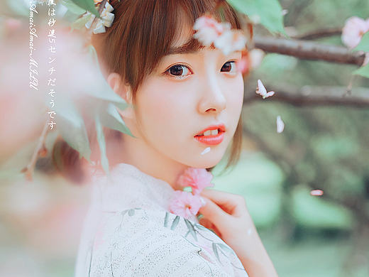 桜花抄