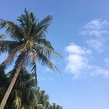 呆呆龙PLUS的头像