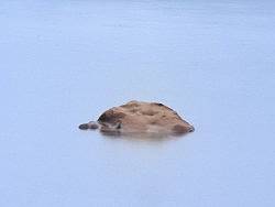 随拍（个人主页-ZMTg4NTQxMg==） - 产品摄影 - 站酷设计师chen包谷原创素材 - 站酷ZCOOL