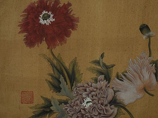 虞美人图  国画 工笔画