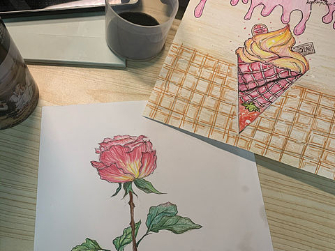 白菜价格的设计