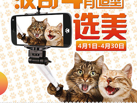 最后一组波奇海报DM（个人主页-ZMjExMzU5NzY=） - 宣传物料 - 站酷设计师mayidefei原创素材 - 站酷ZCOOL