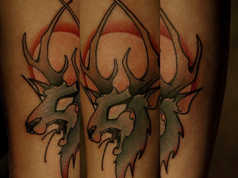 ☀️朝阳下的麋鹿🦌