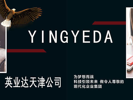 关于某公司的宣传画册