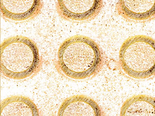 life is f*** movie（个人主页-ZNTE3NzY5OTI=） - 其他摄影 - 站酷设计师Z69686833原创素材 - 站酷ZCOOL