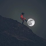 VitoScalleta的头像