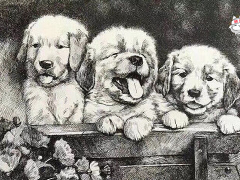 三只小可爱（个人主页-ZMjg0NjgyMjg=） - 艺术插画 - 站酷设计师周秀颀原创素材 - 站酷ZCOOL