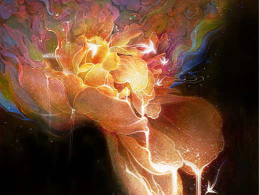《芍药花》