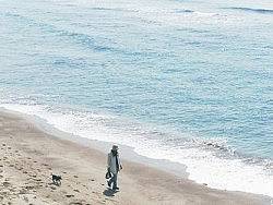 隨便做的FLASH 1（個人主頁-ZNzY1NDAw） - 圖標 - 站酷設計師傷已至夏原創(chuàng)素材 - 站酷ZCOOL