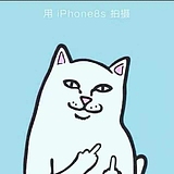 张基展的头像