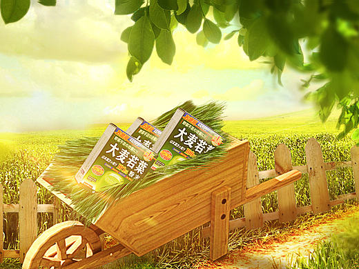 合成海报 大麦若叶