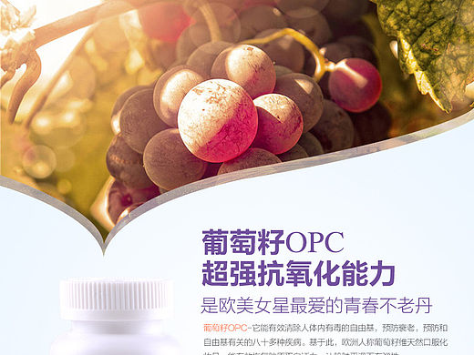葡萄籽维E软胶囊-保健品详情页