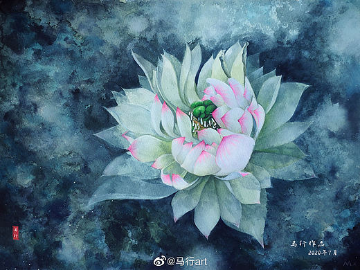 手绘，水彩莲花