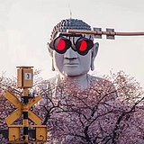 盛関的头像