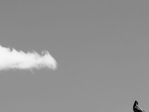 感悟（個人主頁-ZNTE4MTI5NjA=） - 海報 - 站酷設(shè)計師金不換與七原創(chuàng)素材 - 站酷ZCOOL