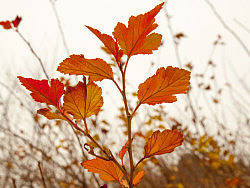 奥森随拍...（个人主页-ZMjg3NzM3Mg==） - 风光摄影 - 站酷设计师子涵928原创素材 - 站酷ZCOOL