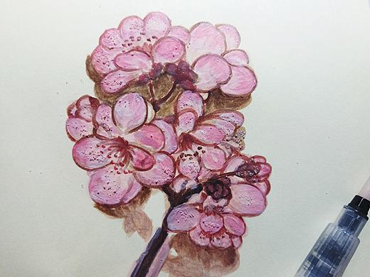水粉开堂课-梅花