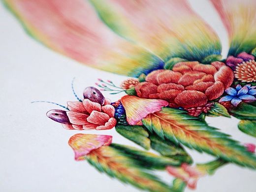 舒展《昆虫记—魔花螳螂》