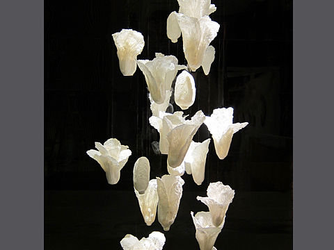 《白菜》纸