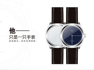只是一只手表