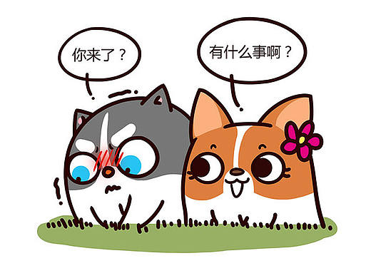 你听我解释·····《有家宠物店》