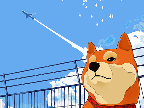 向往自由的小柴