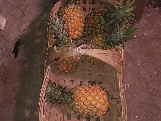 夜色菠萝
