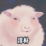 画画的阿羊的头像