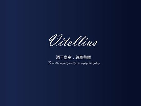 珠宝画册