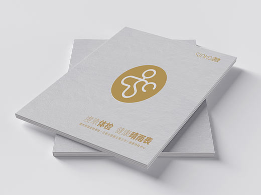 虔康体检 画册提案