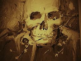 夜已深，斯人已逝，花开一支。