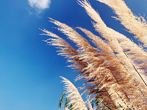 秋天～（个人主页-ZNDYwNTE5NDA=） - 风光摄影 - 站酷设计师YJEjohn原创素材 - 站酷ZCOOL