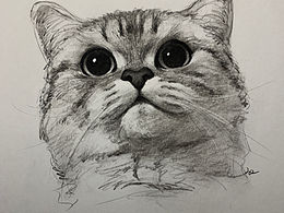 素描