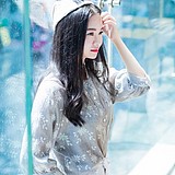 Z84950003的头像